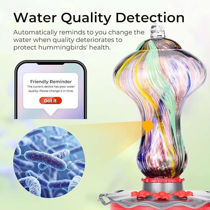 TT Nature Glass Smart Hummingbird Feeder with Camera Solar Powered 2K- AI Identify & Water Detection, Instant Notification, Leakproof & Ant Moat, Compatible with Alexa & Google Assistant