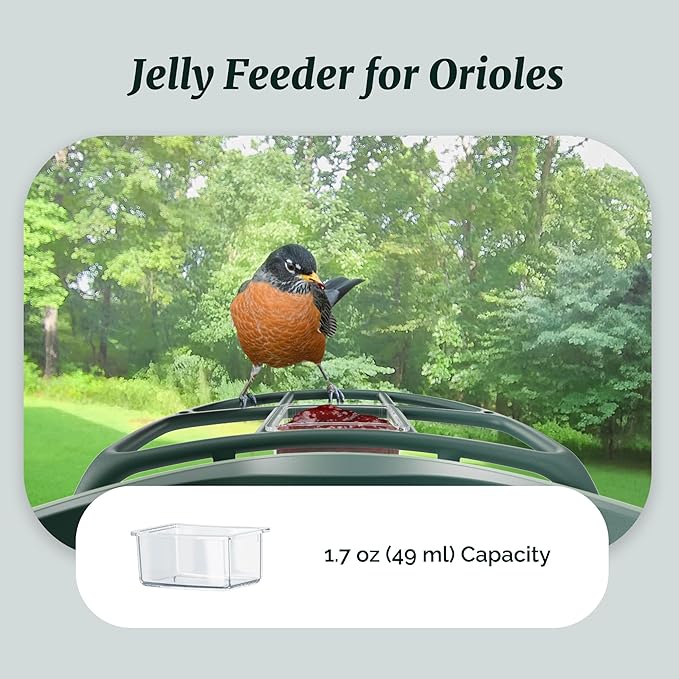 Beako™ Complete Bird Feeder Kit DIY Add-Ons Including Mini Hummingbird Feeder, 2 Fruit Holders, Jelly Feeder, Compatible with Beako™ Smart Bird Feeder with Camera to Attract More Birds