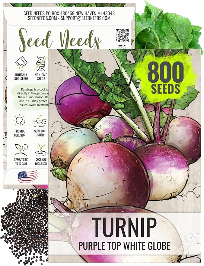 Seed Needs Turnip Seeds for Planting Purple Top White Globe Turnips - Non-GMO Heirloom & Untreated Vegetable Seed to Plant & Grow an Outdoor Home Grown Veggie Garden (1 Pack)