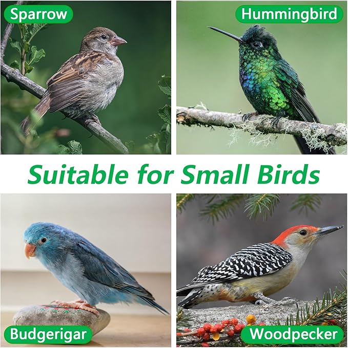 Premium Wooden Bird House, Cedarwood Hanging Birdhouse with Predator Guard, Nesting Box for Wild Bird Viewing, Indoor Decorative or Outdoor Functional Use, Ideal for Birdwatchers, Medium