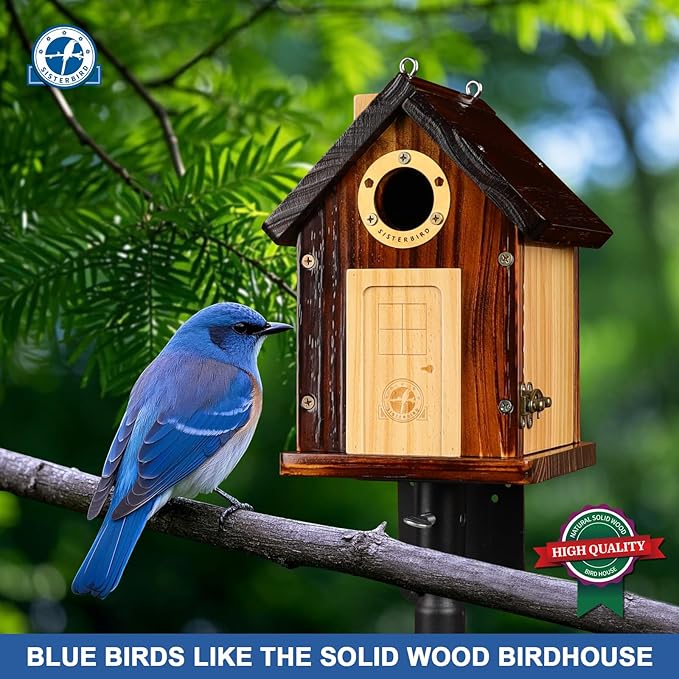 Bluebird Houses for Outside, Premium Bird Houses for Outside, Wooden Cabin Birdhouses for Outdoors, Weatherproof Courtyard Decorated Hanging Bird House, Nesting Bird House