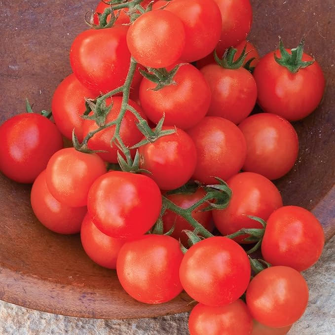 Burpee 'Sweetie' Organic Heirloom Tomato Seeds - Non-GMO, Indeterminate, Organic, Heirloom, Cherry Tomato, 15mg Seed Packet for Home Gardening