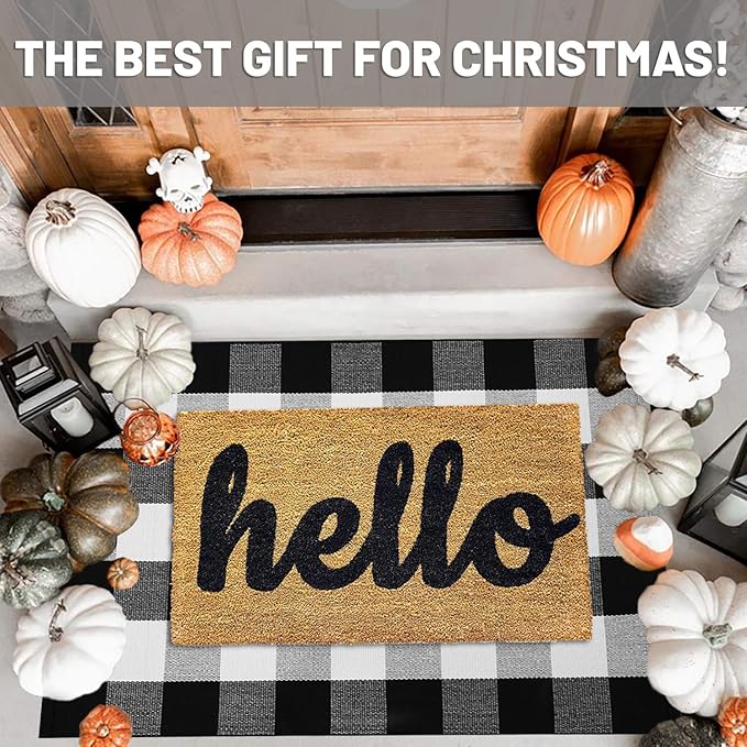 IOHOUZE Cotton Buffalo Plaid Check Rug Outdoor Doormat 27.5 x 43 Inches Washable Woven Outdoor Indoor Welcome Mats for Front Door/Farmhouse/Entryway/Home Entrance black and White Outdoor Rug