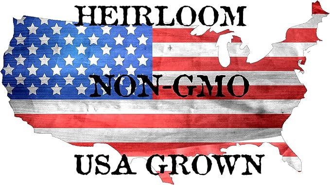 50 Straight Eight Cucumber Seeds - Heirloom Non-GMO USA Grown Vegetable Seeds for Planting - Pickling and Slicing Cucumber