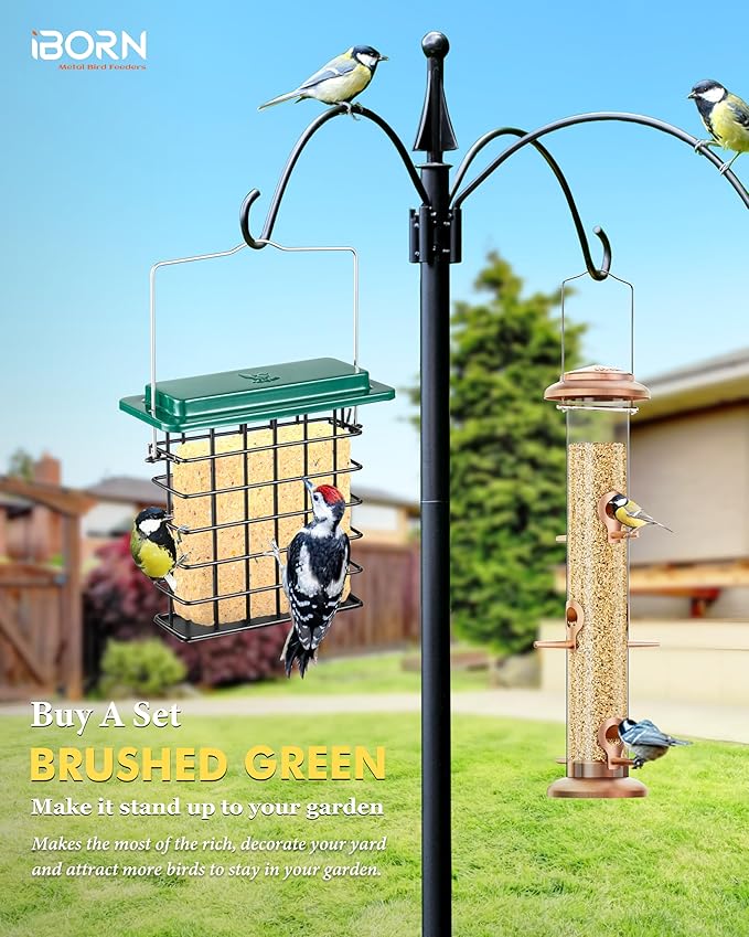 iBorn Suet Feeder Suet Bird Feeders [Single Capacity] for Outside Hanging with Taller Grid for Woodpecker,Metal Green（Pack of 1）
