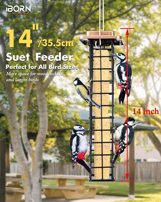iBorn Metal Double Suet Feeder,Durable Suet Cake Cage Bird Feeder for Outdoors Hanging，Metal Roof Bird Feeder with Taller Grid for Woodpeckers,Large Suet Holder,Easy Clean & Refill,1 Pack,Copper
