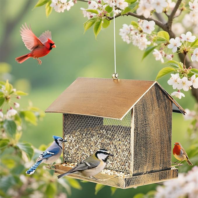 Bird Feeder, Heavy Duty Metal Wild Birdfeeder with Buckle for Outdoor Garden Yard Outside Hanging, House Shape Large Capacity