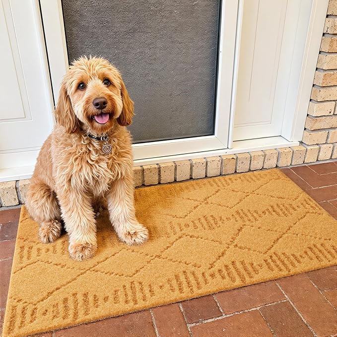Front Door Mat Indoor Outside Entrance, Heavy Duty Dirt Trapper Coir Doormat with Non Slip Backing Entryway Rug for Front Back Door, 17x30, Brown