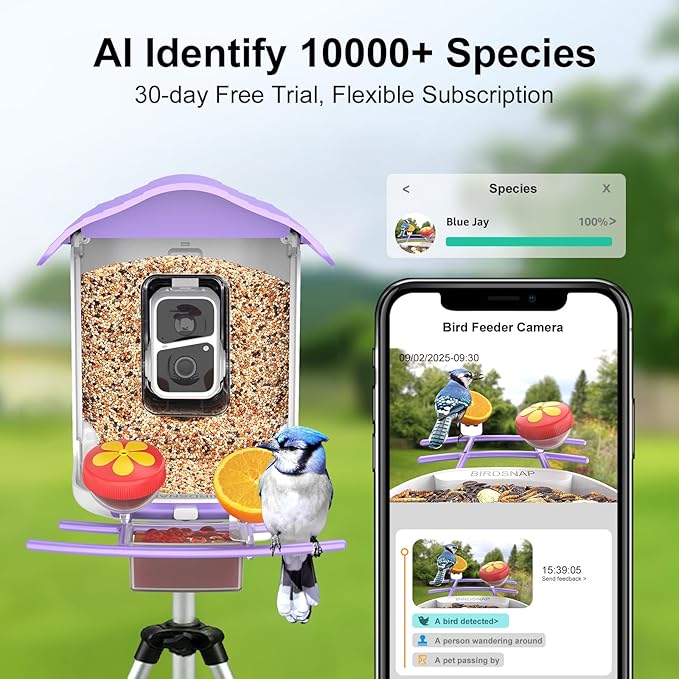 birdsnap® PAV-Bird Feeder with Camera,2K HD with 64GB Card, AI Identify Smart Bird House Cam Solar Panel,Live Stream,Motion Detection,Auto Record Video for Backyard Outdoors,Ideal Gift for Bird Lover