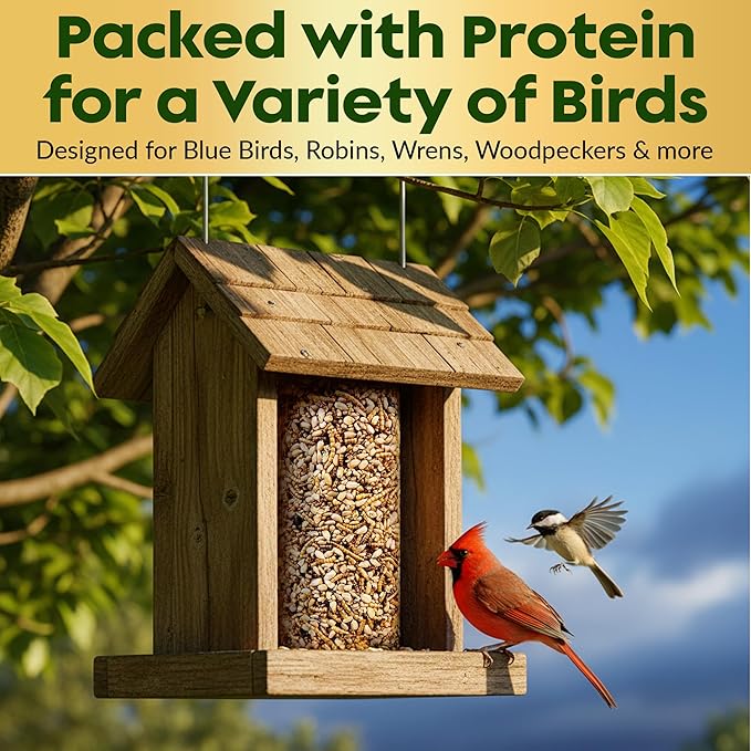 Mealworm Bird Seed Cylinders with Hole – Premium Mealworm Birdseed Log – Sunflower Chips & Dried Mealworms for Wild Birds – Natural High Energy Seed Cylinder – No Fillers – USA Made (4" x 7.75")