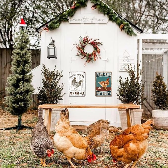 Chicken Coop Signs, Cluck Around and Find Out Sign Chicken Metal Tin Signs for Farmhouse Kitchen Home Wall Art Decor Farm Sign Funny Chickens Gifts for Women Outdoor Garden Accessories 8x12 Inch