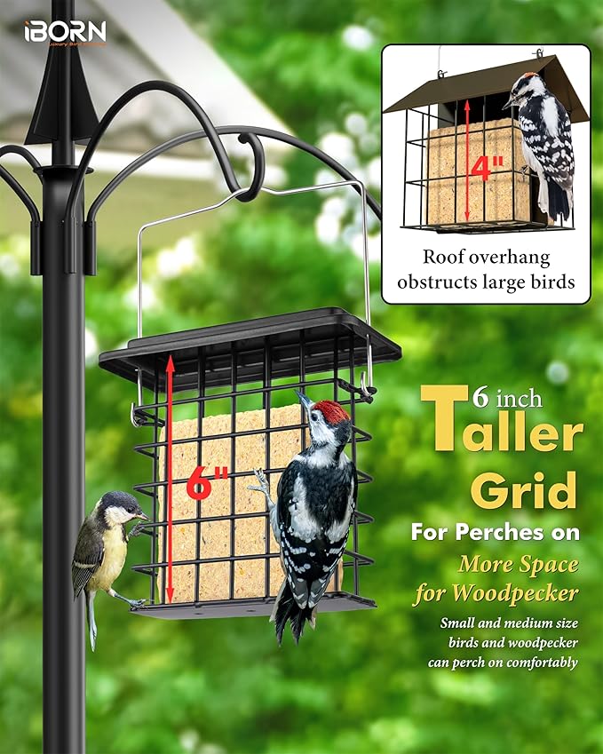 iBorn Suet Feeder Suet Bird Feeders [Single Capacity] for Outside Hanging with Taller Grid for Woodpecker,Metal Black（Pack of 2）