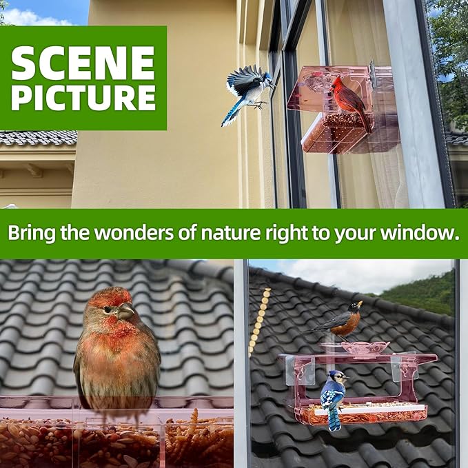 Window Bird Feeder with Non-Marking Self-Adhesive Hooks, Clear and Transparent, Outdoor Wild Bird Watching Gift, Garden Decor (Red)