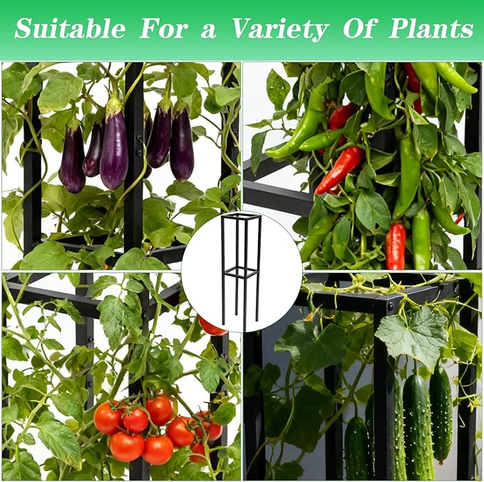 48x12 Inches Dragon Fruit Trellis for Climbing Plants - Premium Quality Metal Support Stand, Weather-Resistant & Durable for Gardeners and Plant Enthusiasts