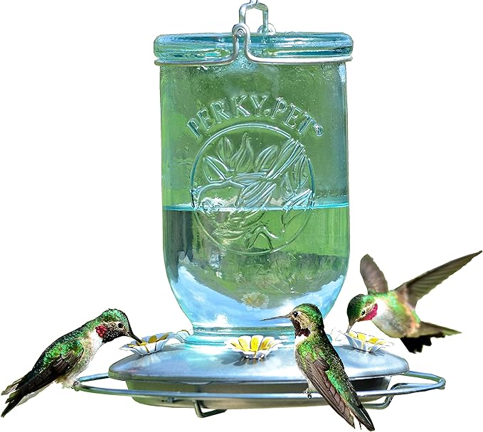 Perky-Pet Mason Jar Vintage Style Glass Hummingbird Feeder 785-1SR - Humming Bird Feeders for Outdoor Garden Decor - 32 Oz Nectar Capacity