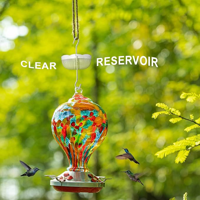 Ant Moat for Hummingbird Feeders, (4 Pack, 6 OZ) Vintage Style Ant Guard Hummingbird Feeder (Clear)