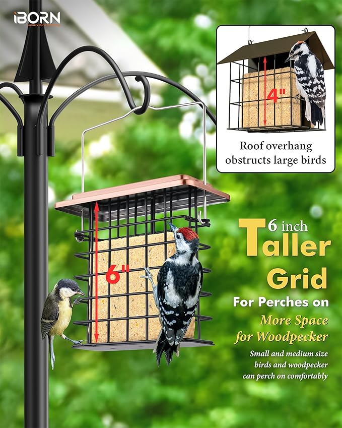 iBorn Suet Feeder Suet Bird Feeders [Single Capacity] for Outside Hanging with Taller Grid for Woodpecker,Metal Brushed Copper（Pack of 1）