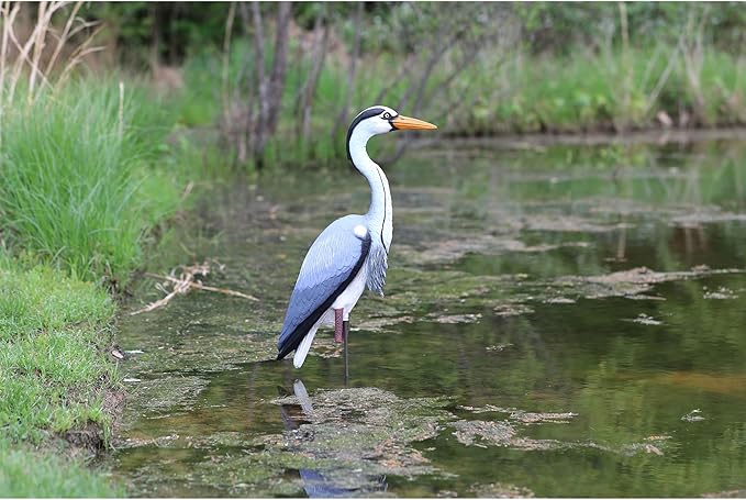 Higdon Outdoors Blue Heron Confidence Decoy for Waterfowl and Ornamental Water Garden, Pond and Landscape Decoration Plus Pest Deterrent