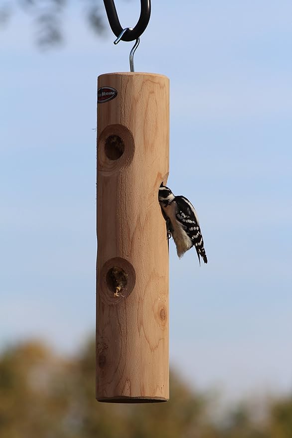 Kettle Moraine Cedar Suet Plug Log Feeder