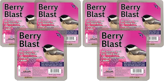 Heath Outdoor Products Berry Blast Suet Cakes Sample Pack,Contains Suet Cakes,Try It,Your Birds Will Love it,for Woodpeckers,Cardinals,Siskins,Sparrows,Finchs&Many More Wild Bird Species,(Pack of 6)
