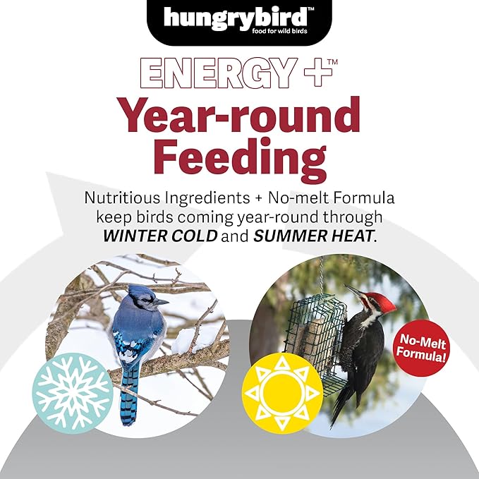 Energy+ No-Melt, High-Protein Suet Cake with Mealworm Filling for Outside Wild Bird Feeders