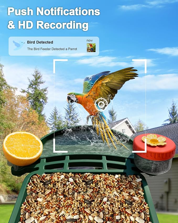 2-in-1 Smart Wild Bird Feeder & Bath with 4K HD Camera, AI Identification Solar Bird Feeder Watching Camera Night Vision for Outdoor Birds Watching Gifts for Birdlover, Red & Green