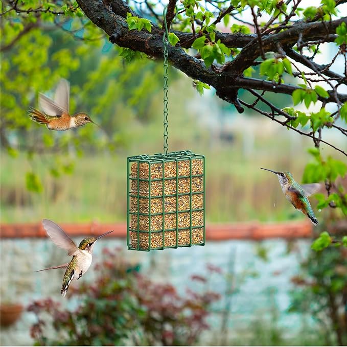 Bird Feeder for Outdoors, Suet Feeder Hanging Bird Feeder, Hanging for Garden Yard Outside - Single Suet Cake Feeders fo Attracting Birds