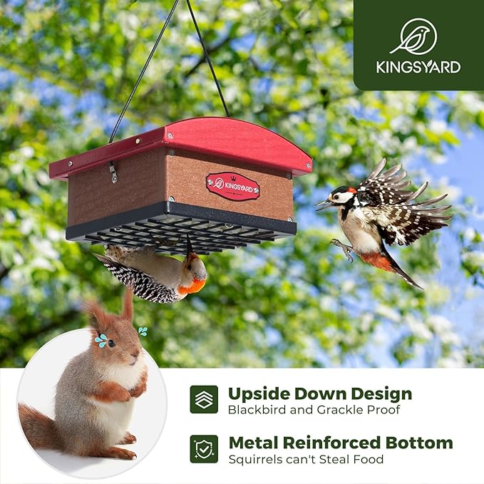Kingsyard Upgraded Upside Down Double Suet Feeder with Metal Weatherproof Roof, Squirrel-Proof Metal Edging, Suet Feeders for Outside Hanging, Great for Attracting Woodpecker, Nuthatch, Titmouse