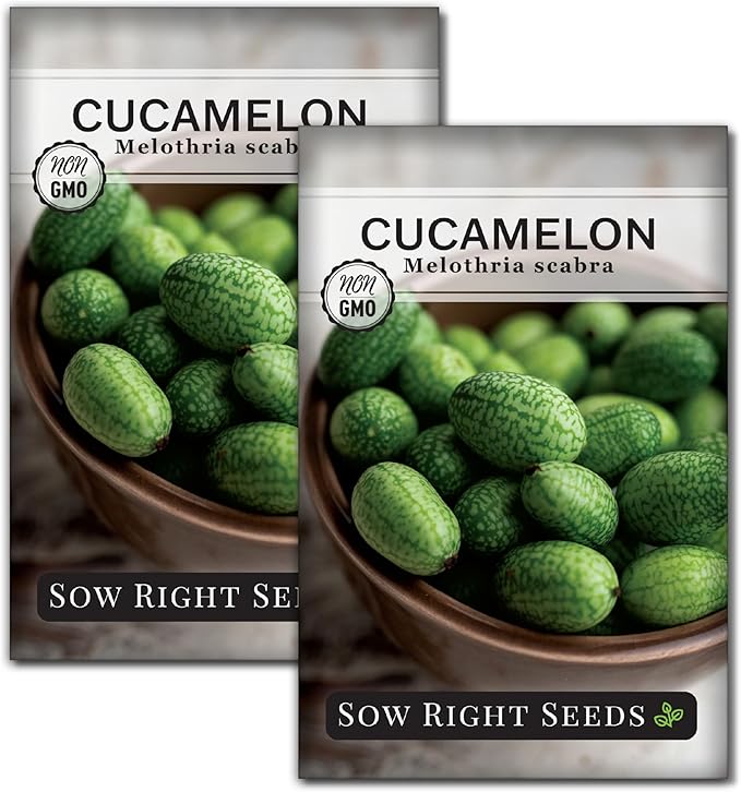 Sow Right Seeds - Cucamelon Seeds for Planting - Non-GMO Heirloom Packet with Instructions to Plant an Outdoor Home Vegetable Garden - Mini Bitter Mouse Melon, Mexican Sour Gherkin - Rare Variety (2)