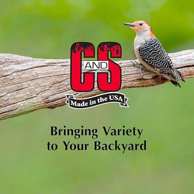 C&S Woodpecker Suet Treat, Outdoor Wild Bird Food for Woodpeckers, Flickers and More, 8 Pack