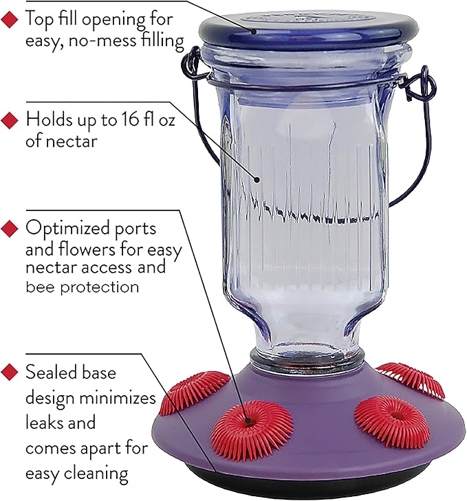 Perky-Pet 9101-2 Lavender Field Top-Fill Glass Hummingbird Feeder Purple 16 oz Capacity