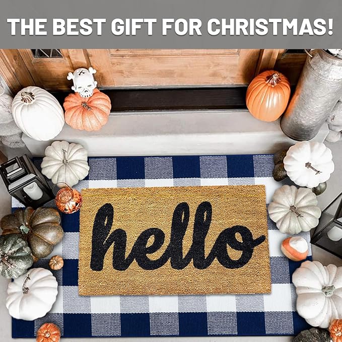 IOHOUZE Buffalo Plaid Checkered Rug 27.5" X 43" Front Door Mats, Washable Area Rugs for Front Porch Decor, Spring Summer Welcome Mats Outdoor, Navy White Rug for Farmhouse/Entryway/Home Entrance