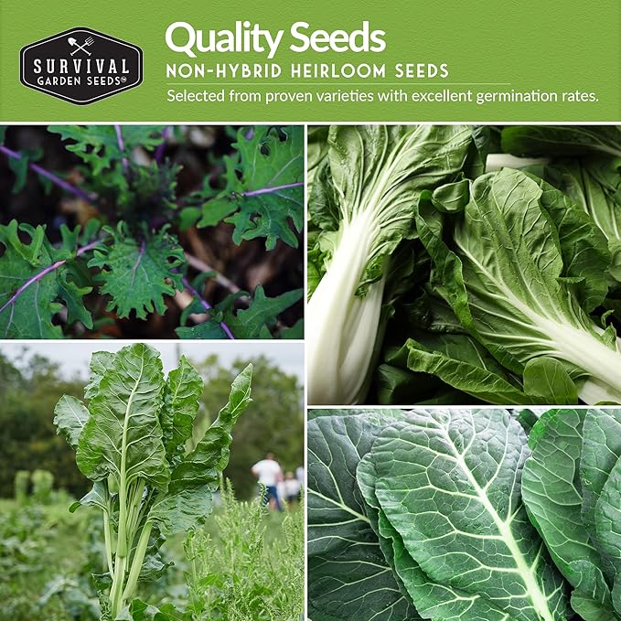 10 Power Greens Seed Collection – Heirloom Collards, Mustard, Swiss Chard, Spinach, Kale, Tatsoi, Pak Choi & More for Fall & Spring Planting | Survival Garden Seeds