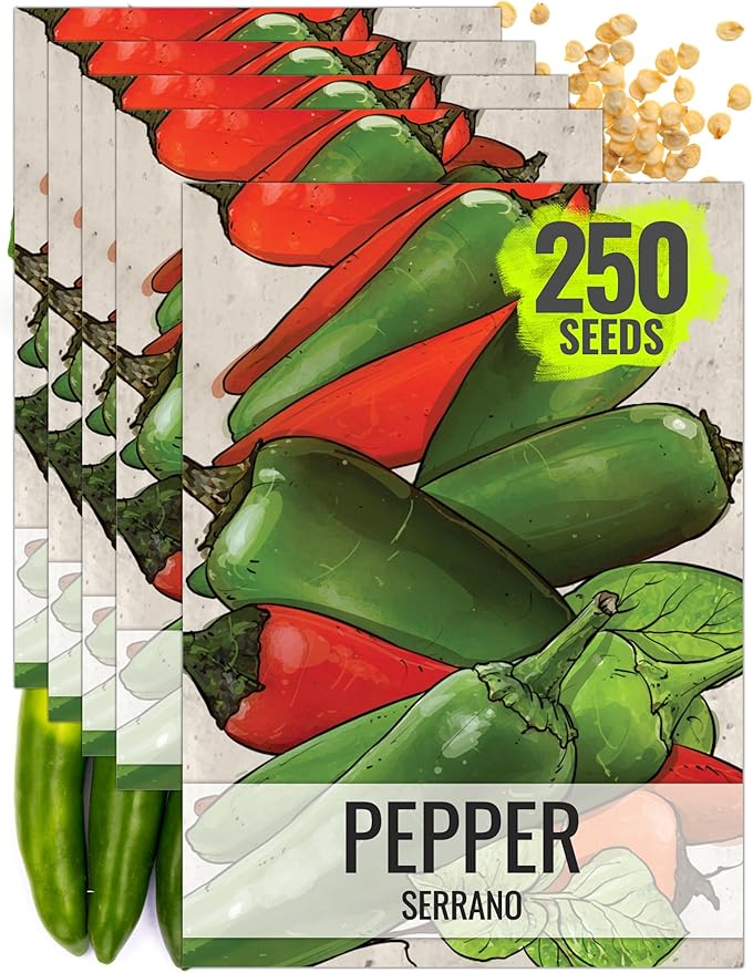 Seed Needs Hot Pepper Seeds for Planting Serrano Chile Peppers - Non-GMO Heirloom & Untreated Vegetable Seed to Plant an Outdoor Home Grown Veggie Garden (5 Packs)