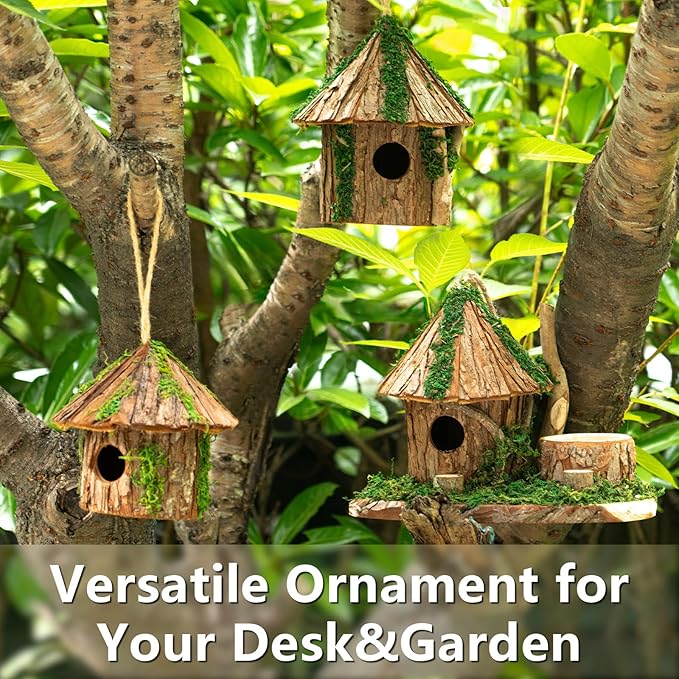 Premium Wooden Bird House, Cedarwood Hanging Birdhouse with Predator Guard, Nesting Box for Wild Bird Viewing, Indoor Decorative or Outdoor Functional Use, Ideal for Birdwatchers, Medium