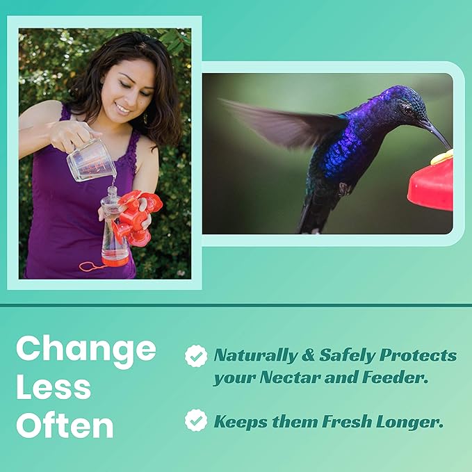 Sapphire Labs SLHFF Hummingbird Feeder Fresh Nectar Defender