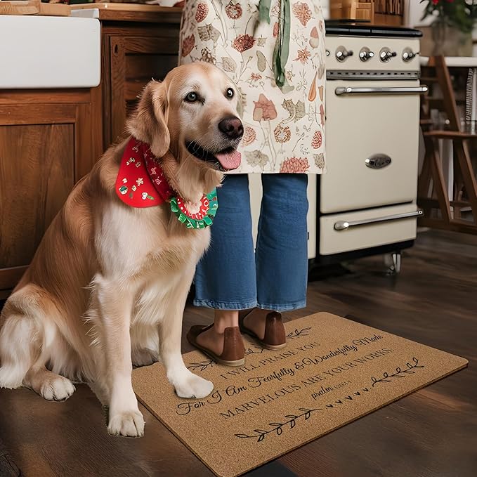 Christian Door Mat Doormat, Bible Verse Welcome Front Door Mat Indoor Outdoor Entrance, Religious Scripture Artificial Coir Doormats Rugs for Porch Entryway Home Decor 30x17in