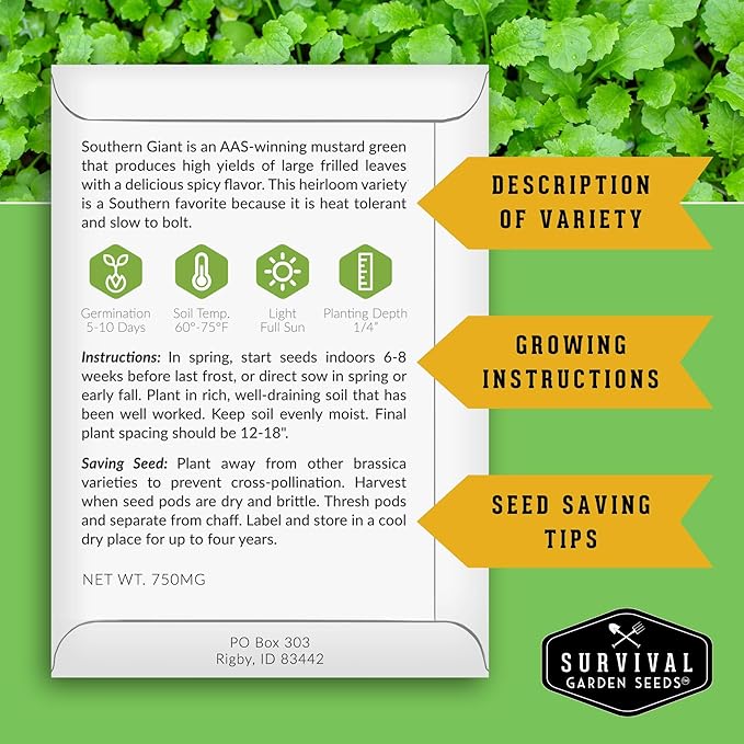 Southern Giant Mustard Green Seeds for Planting – Heirloom Non-GMO Spicy Greens, Heat Tolerant and Slow to Bolt for Home Vegetable Gardens - Survival Garden Seeds (5 Packs)