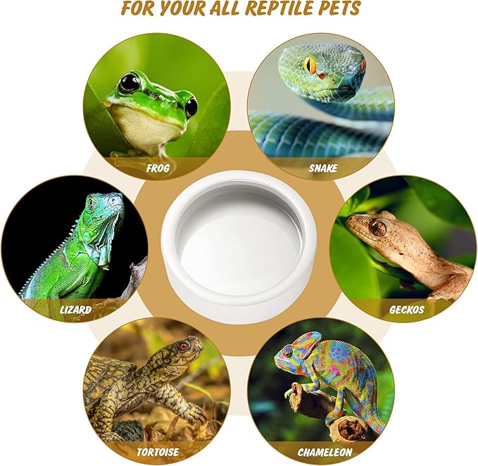 Ceramic Reptile Bowl - Mealworms & Cricket Dish for Gecko, Bearded Dragon & Chameleon - XL(5in) Anti-Escape Feeder