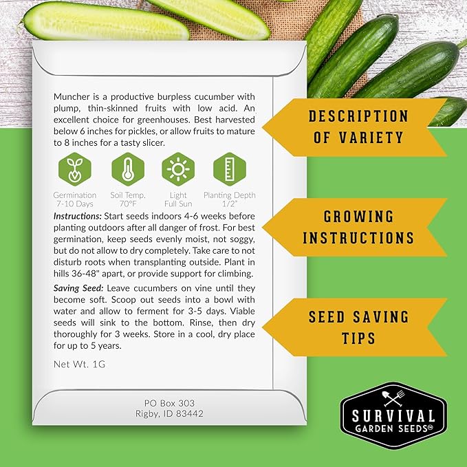 Muncher Cucumber Seeds for Planting | Burpless Variety with Smooth Skin for Snacking or Slicing – Survival Garden Seeds (1 Pack)