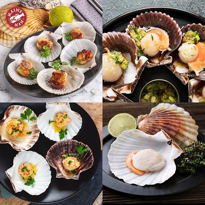 Maine Man Natural Baking Shells, Harvested From Ireland And Scotland, For Baking, Seafood, Appetizers, And Desserts, 3.75-Inch, Set of 4