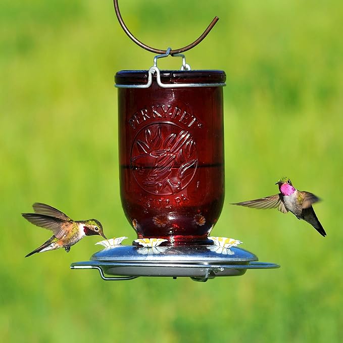Perky-Pet Red Mason Jar Vintage Glass Hummingbird Feeder - Outdoor Garden Décor - 32-oz capacity, 786-1SR