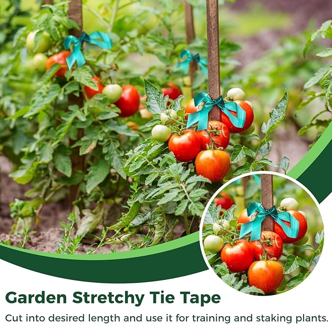 Homaisson 48 Rolls Stretch Tie Tape, 147.6 Feet 0.5 Inch Garden Tie Tape, Garden Vinyl Stake, Stretchy Soft Vinyl Tape for Indoor Outdoor Plants, Patios, Vegetable Fields, Orchards