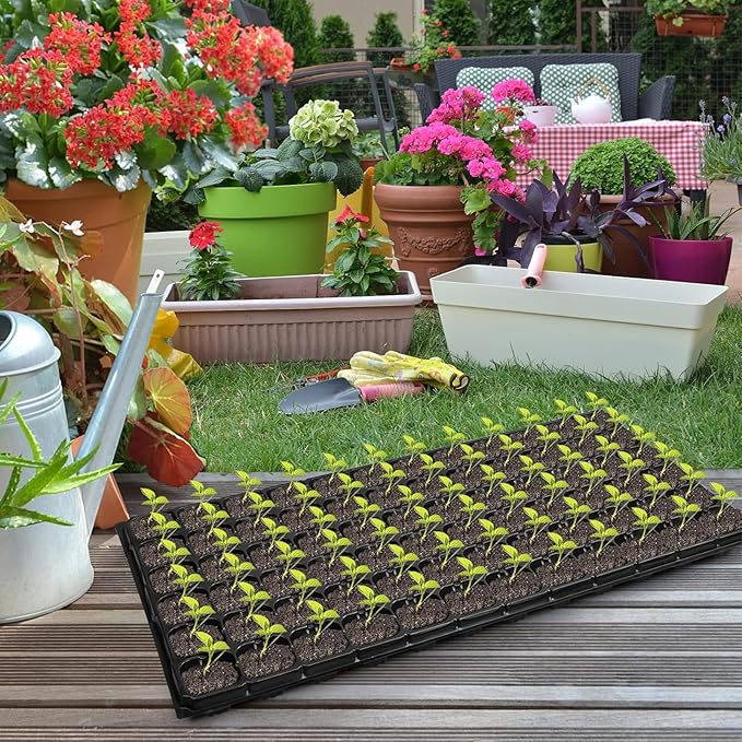 10-Pack Seed Starter Kit,72 Cell Seedling Tray Cell Seed Trays for Flat Trays Germination,Plastic Tray Nursery Pots Mini Propagator Plant Grow Kit Plug Tray Starting Trays for Seedling Germination