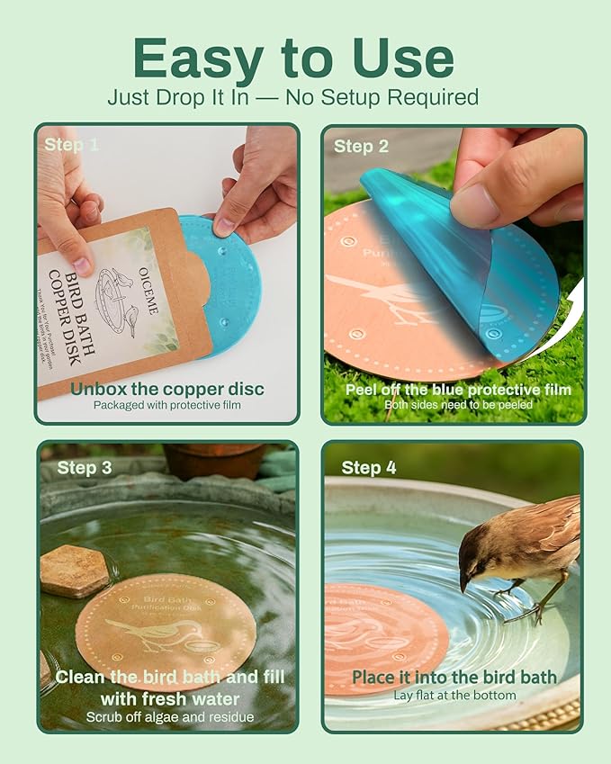 Bird Bath Purification Disk Pure Copper Outside Winter Solar Power Birdbath Wild Hummingbird Pedestal Fountain Cleaner Humming Feeder Cage Dispenser Bowl Ground Safe Garden Lover Women Gift