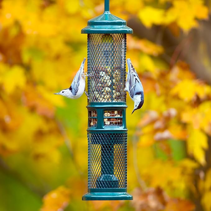 Squirrel Buster Nut Feeder Squirrel-Proof Bird Feeder for Nuts and Fruit, Two Meshes