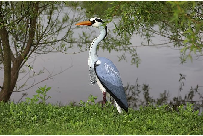 Higdon Outdoors Blue Heron Confidence Decoy for Waterfowl and Ornamental Water Garden, Pond and Landscape Decoration Plus Pest Deterrent