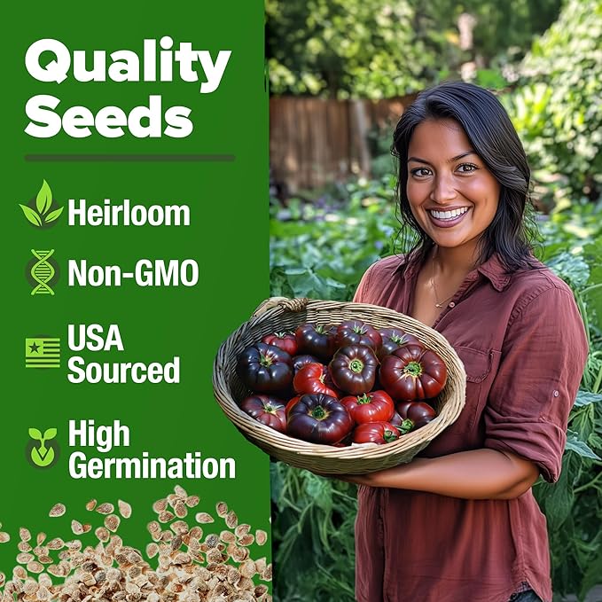 HOME GROWN Cherokee Purple Tomato Seeds 212+ Heirloom Non-GMO Seeds for Planting, High Germination, Indeterminate Beefsteak, Rich Smoky Flavor, Slicing Tomato for Garden (Solanum lycopersicum)
