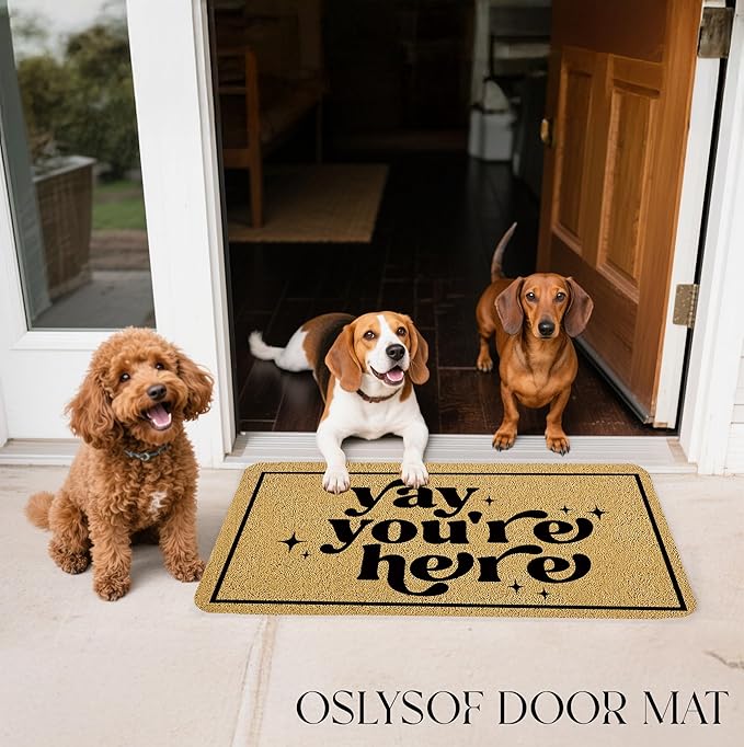Funny Welcome Door Mat, Yay You're Here Doormat for Front Door Indoor Outdoor Porch Entrance Entryway, Funny Welcome Mat Outside, 17x30 Inches