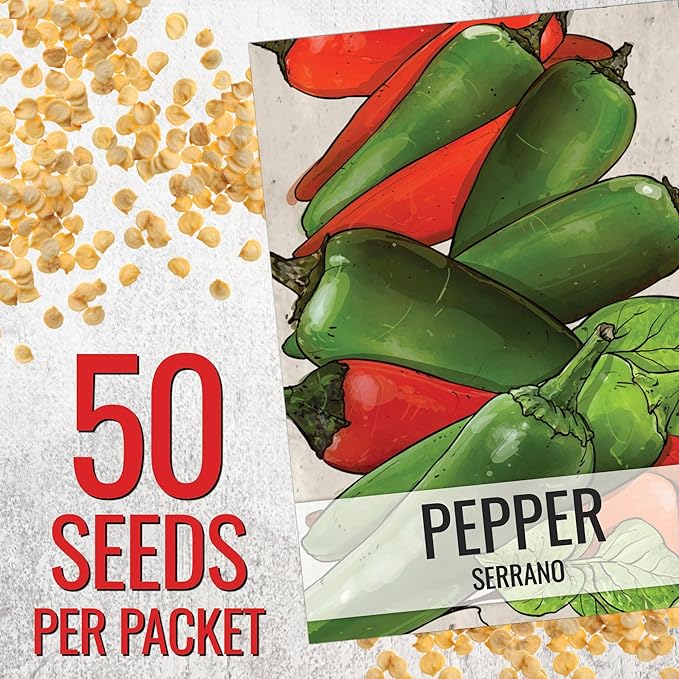 Seed Needs Hot Pepper Seeds for Planting Serrano Chile Peppers - Non-GMO Heirloom & Untreated Vegetable Seed to Plant an Outdoor Home Grown Veggie Garden (5 Packs)